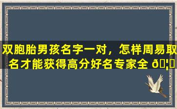 双胞胎男孩名字一对，怎样周易取名才能获得高分好名专家全 🦆 程指导，有何妙招